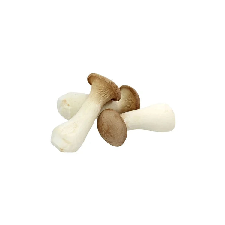 King Oyster Mushroom (Fresh)